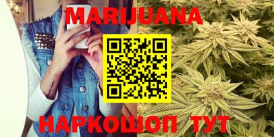крисы Донской