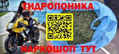 крисы Донской